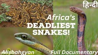  Africa’s Deadliest snake | Africa’s Deadliest | हिन्दी | Full Episode | Alisbahgyan 