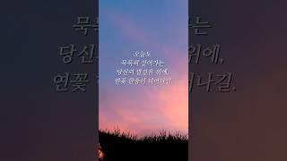 부처님의 가르침(견딘 마음에 연꽃이 핀다) #부처님말씀 #명언 #법문 #부처님