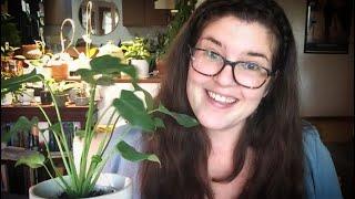 AROIDS APLENTY! | A Tour of My Philodendrons & Co.