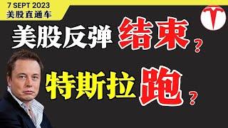 美股 反弹结束？特斯拉要跑吗？【美股直通车】2023.09.07 #sam谈股 #美股 #美股分析 #tsla #特斯拉 #nvda #英伟达