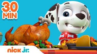 PAW Patrol Pups Save Thanksgiving! w/ Marshall, Skye & Zuma | 30 Minute Compilation | Nick Jr.