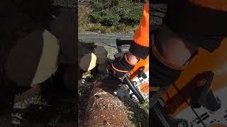 Cutting firewood. Whoops! #stihl #stihlms241 #firewood #asmr #bloopers