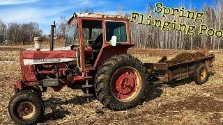 Spreading Manure/Replacing Thermostat on Farmall 806/Maple Syrup Time Begins