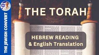 The Complete TORAH | 5 Books of Moses HEBREW Reading & ENGLISH Translation | TORAH STUDY