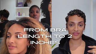 From Bra Length Hair to 2 Inches 