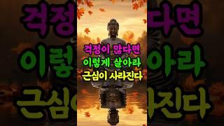 걱정 많은 삶, 이렇게 살아라 근심이 사라지느니라 #부처님말씀 #불교 #마음수행 #근심해소 #불안극복