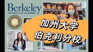 嬉皮士与诺奖共存！走进世界最好的公立大学-加州大学伯克利分校UCBerkeley【Irina美国访校】