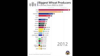 Biggest Wheat Producers in the World, Ukraine and Russia produce 15% of the wheat in the world