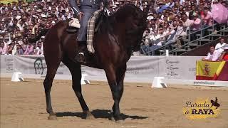 Francisco Díaz Rodríguez conHeno Fo en la Final de Campeonato de España 2019