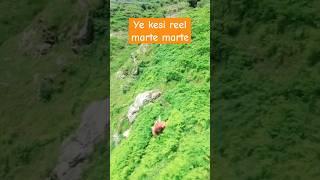 रेल के चक्कर में अपनी जान दाव पर लगा दी #funny #shortsviral #shortfeed #h1p1gaming  #shortvideos