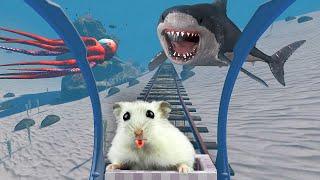 Hamster in Roller Coaster in the Ocean With Shark  + Bonus Maze