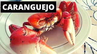 CARANGUEJO RECEITA RÁPIDA E FÁCIL - Como fazer caranguejo