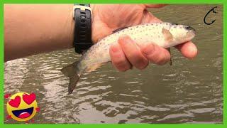 Ultralight, trout, spinning morning UL river spinner fishing - Ultra light trout fishing uncut #8