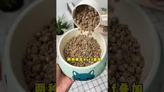 小金袋试吃6块9三包的羊毛，一定要薅！吃过的都说好猫粮推荐 新手养猫 猫粮