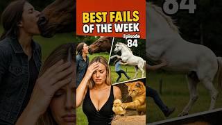 Why Are All These Animals Derping?! #funnyanimals #funny #petlover