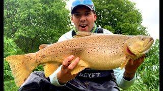 State Record Brown Trout!? Madriver Ohio