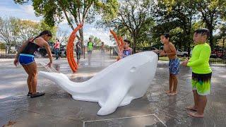 SplashPack Whale - Universal - Aquatix®