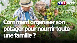 Comment organiser son potager pour nourrir toute une famille ?