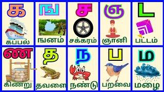 Uyireluthukkal/ Uyirmei Eluthukkal/உயிர்மெய் எழுத்துக்கள்/க ங ச/TamilAlphabets/@PEEKABOO!!