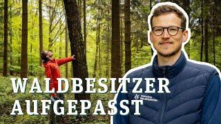 Wald gekauft! Förster erklärt, worauf man achten muss