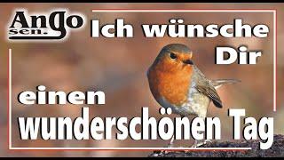  Guten Morgen  - Ich wünsch Dir einen wunderschönen Tag / Lied Song Kurz