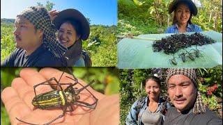 Spider hunting part one || how to hunt cook and eat spider bizarre Naga delicacy || Nagaland.