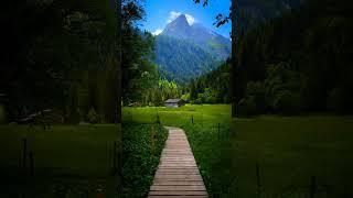 Love nature #relaxing #piano #music #pianomusic #chill