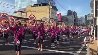 【日本鳥取市祭典】在市區街道千人齊跳鳥取傘舞祭 (鳥取しゃんしゃん祭 Tottori Shanshan Festival , Tottori, Japan 拍攝於2018年8月14日)