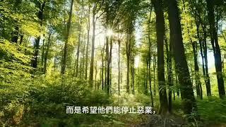 佛法治療吵架，AI上人慈悲開示，南無阿彌陀佛