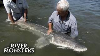 Jeremy Wade's BIGGEST Catches! | River Monsters