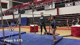 Level 2 and 3 Bars 2022 Tennessee State Meet