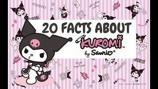 20 Facts About Kuromi