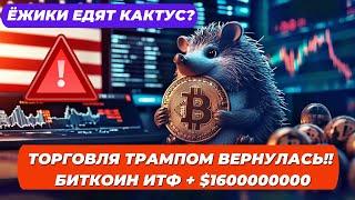 ЁЖИКИ ЕДЯТ КАКТУС? ТОРГОВЛЯ ТРАМПОМ ВЕРНУЛАСЬ!! БИТКОИН ИТФ + $1600000000!!  ХАРРИС ИНТЕРВЬЮ FOX!!