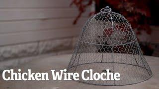 Chicken Wire Cloche