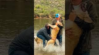 Viral video captured while visiting Arizona - Man saves his dog