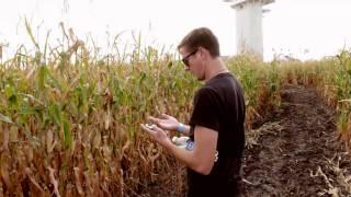 I'm From Driftwood: Trouble with the law. And corn.
