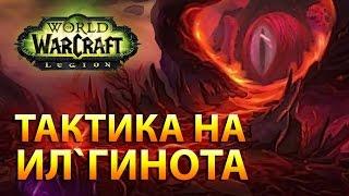 WoW Legion: Тактика на Ил'гинота (ИК 2/7)