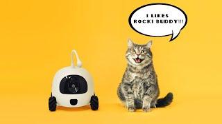 Rocki Smart Robot Companion For Pets And Automatic Feeder