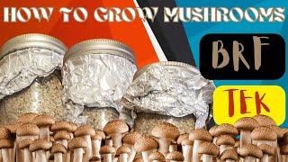 How to Make Brown Rice Flower (BRF TEK) substrate for growing Mushrooms