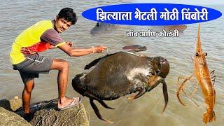 झिल्याला भेटली मोठी चिंबोरी आणि कोळंबी | तांब मासा Rod Fishing | karanja jetty | Mora jetty uran