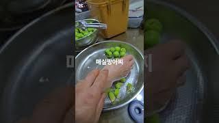 매실짱아찌. #농사 #gardening #귀촌생활 #주말농사 #farming #자연농원 #산나물 #garden #산골 #텃밭 #주말농사#매실#짱 아찌