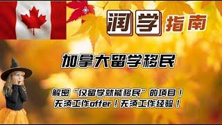 移民系列4 | 加拿大留學移民的實操攻略 | 僅留學就能移民的寶藏項目 | 無須當地工作offer | 無須當地工作經驗 |