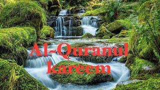 Quran by muhamed Jemal #quran #allah #islam August 31, 2023