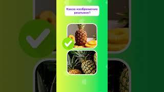 Фото или нейросеть? Угадай! 