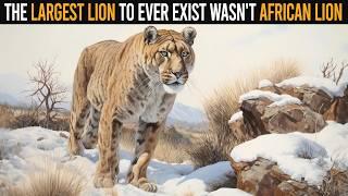 The Largest Lion To Ever Exist Wasn't African Lion