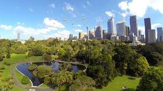 Majestic Sydney from above