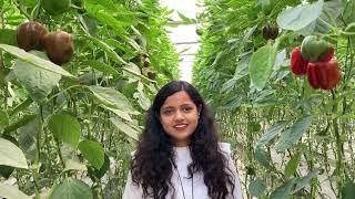 Story of a lady farmer Ms. Anushka from UP |यू पी की एक सफल युवा महिला किसान सुश्री अनुष्का की कहानी