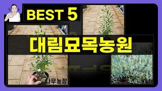 대림묘목농원 대박난 제품 BEST 5 | 쇼핑기술의 대림묘목농원 가성비 추천템