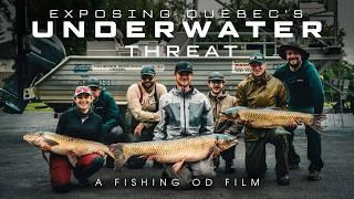 Exposing Quebec's Underwater Threat | Grass Carp Expedition Unveiled