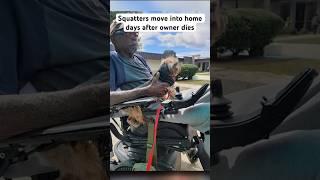 Squatters move into home days after owner dies